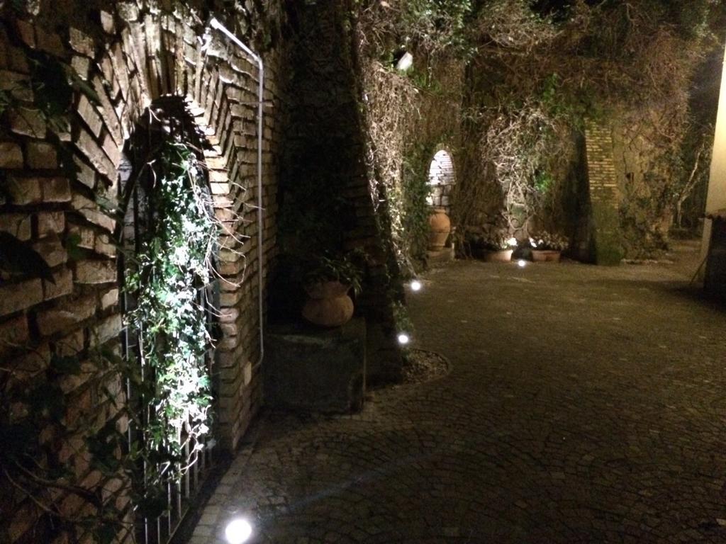 Princess * Frascati